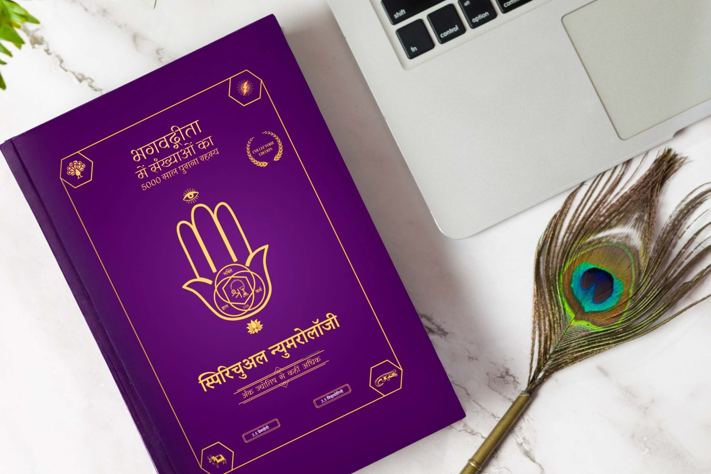 Spiritual Numerology Hindi Version